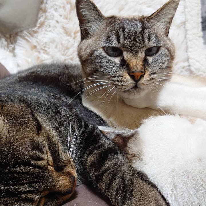 83d9465d 2e68 4825 95fb 7abeeb359d88 1643986256270