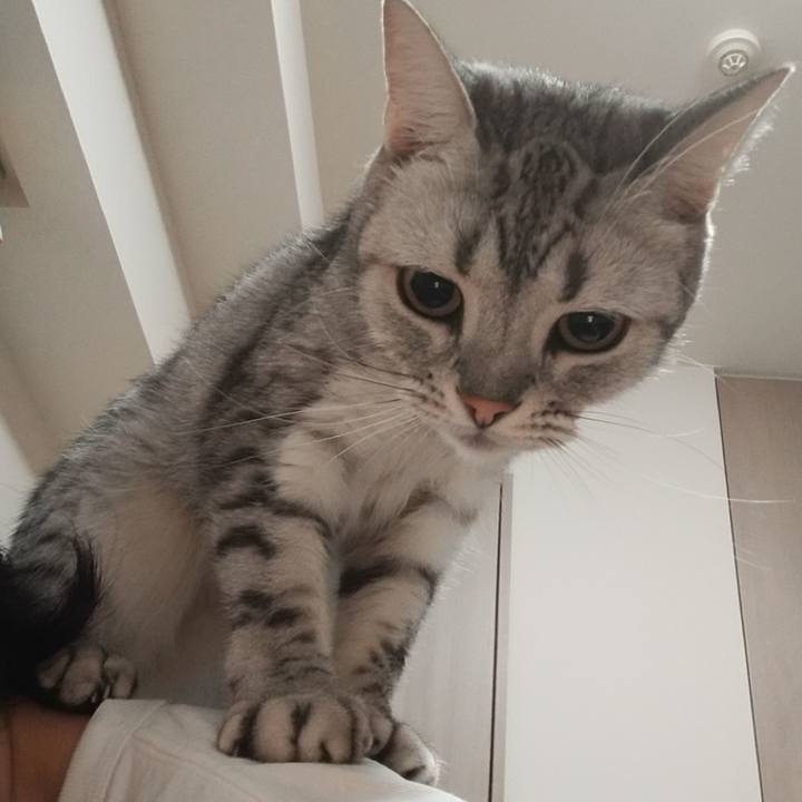 83d95c91 b6a8 4c5e ac29 e61389439b3e 1599532997248