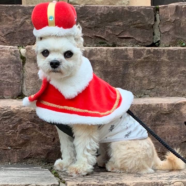 83d96842 7e66 47b3 829b 37f7f9390cbf 1586221740534