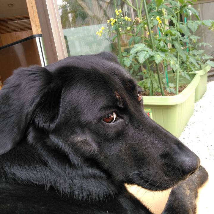 83d97317 bee8 426c 90f9 4872a85e8e14 1559107496785