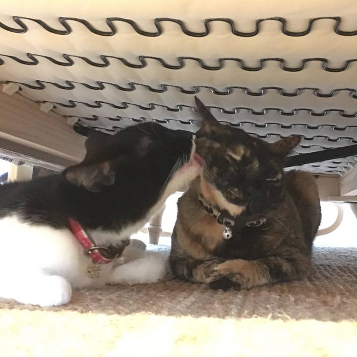 83d97657 44b5 45f6 92f2 fbc82499df18 1511745977391