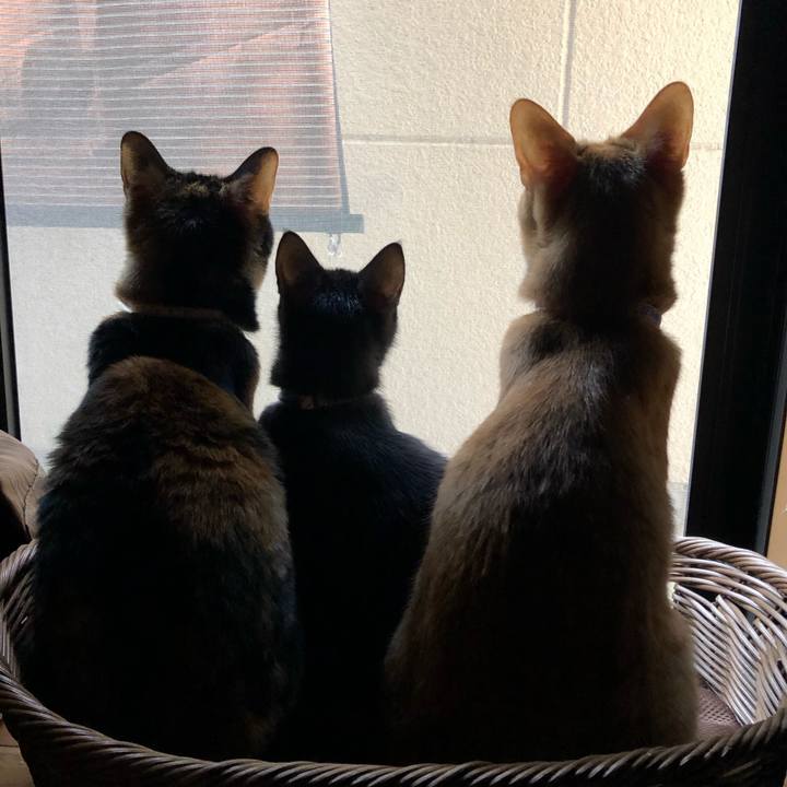 83d98e2a 2bfa 4db1 abfe fcbe09a6006b 1614563645450