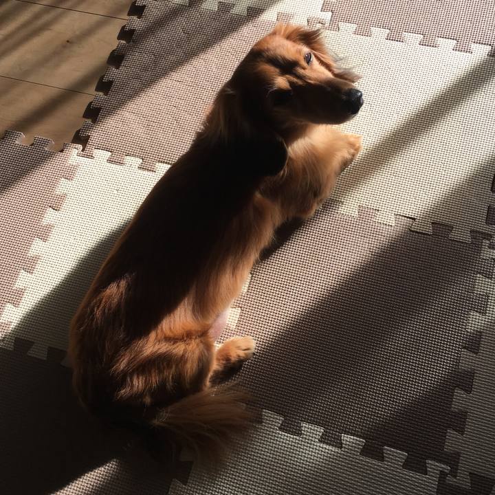 83d99b4c 1345 4ea8 8659 7b5ff02907a4 1515323506687