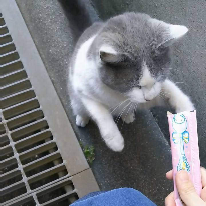 83da0e9d 17cf 4ca4 a280 d78702d0deaf 1518339161877