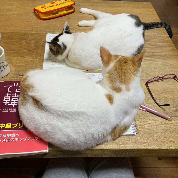 83da1100 3b49 4de5 9a23 24715f7a1a95 1621029232634