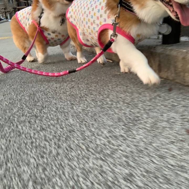 83da1d6e 7670 4fc3 821f c41231c5333b 1588244933500