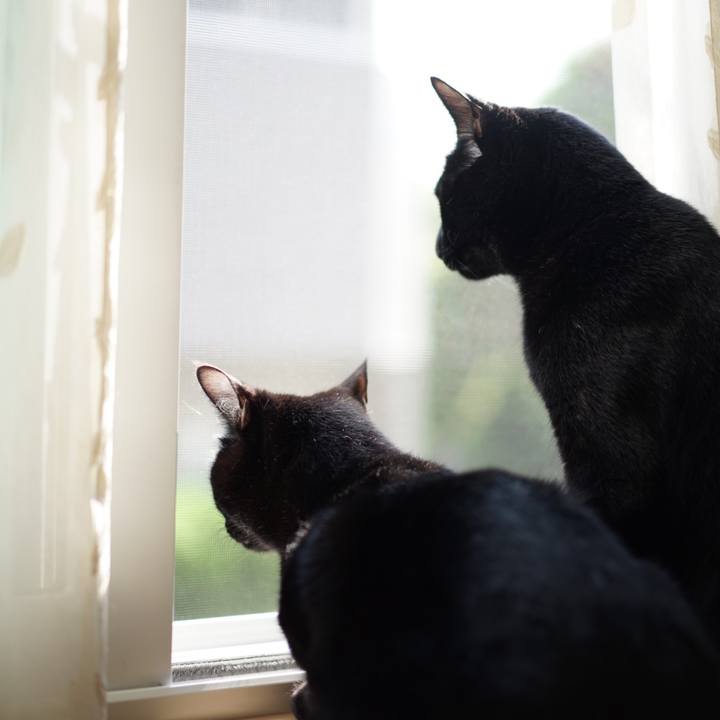 83dab382 35fb 40d0 b0d6 8769bc9fc99a 1557963548854