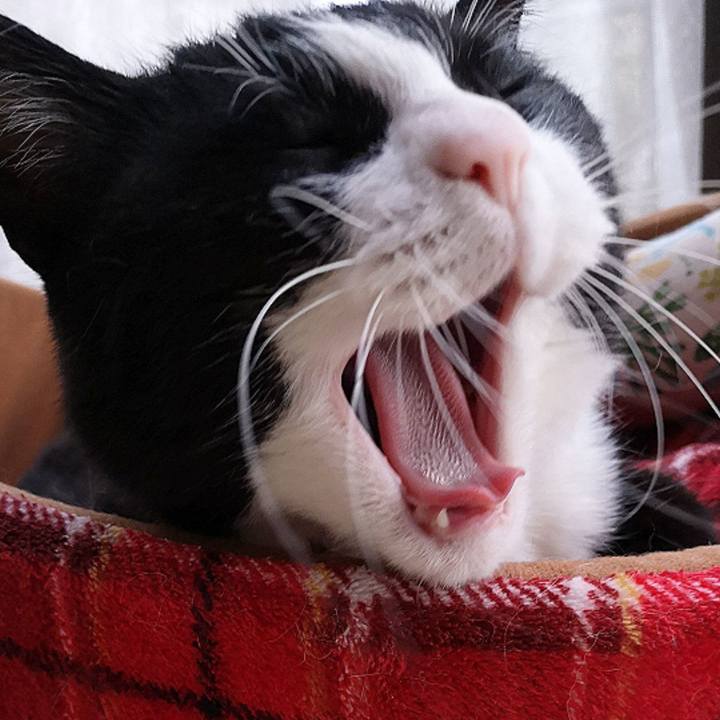 83daebad ca25 4ed8 9c3f 84caf81d778a 1653968498134