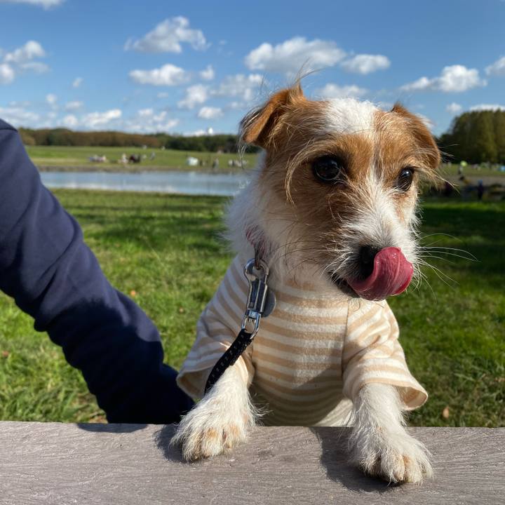 83db8615 4311 4be1 9b87 31bf4baa7e60 1572863464319