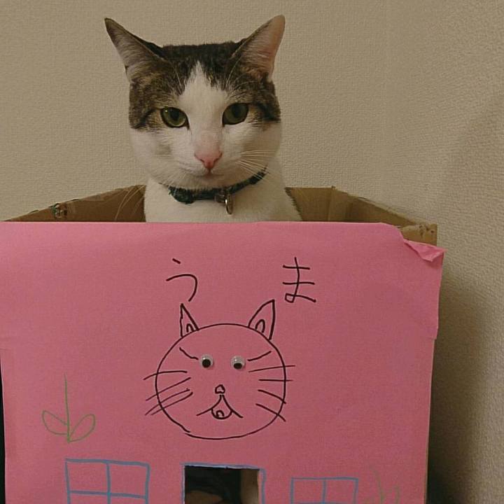 83db9075 d63d 47e7 ba9c bcc9fcdf1a7d 1554121048898