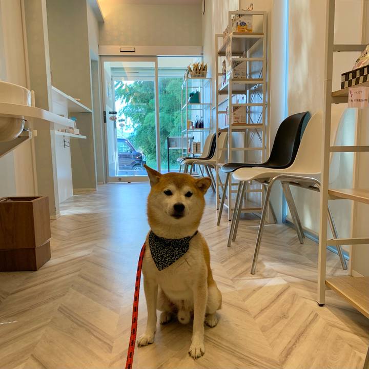 83db918d ca1d 4b68 bd72 0a026b3bbc26 1694852682476