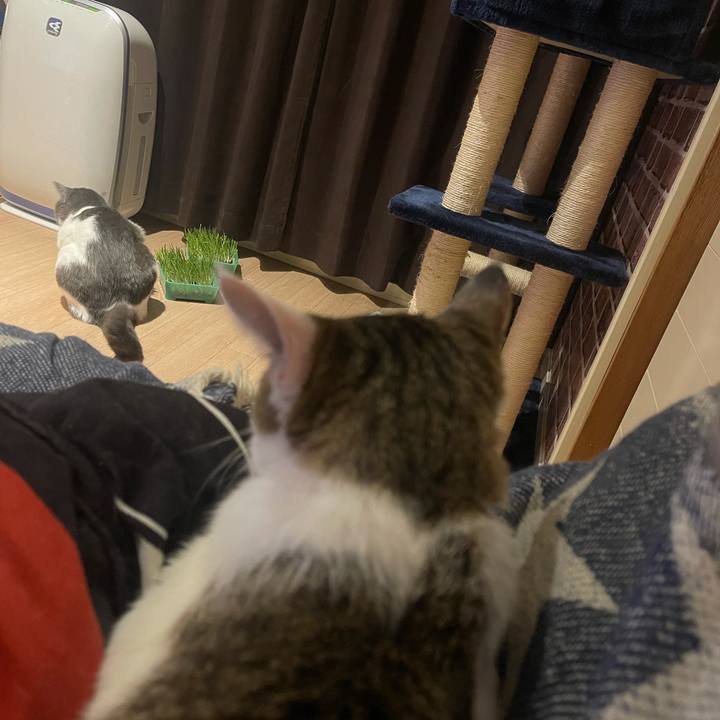 83db9ccd 9d07 45eb 8bb2 0c8fb97469f9 1628685535382