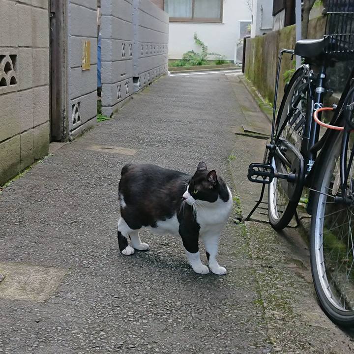 83dbbfcd b2eb 4af0 b458 1e61355398a2 1539904670950