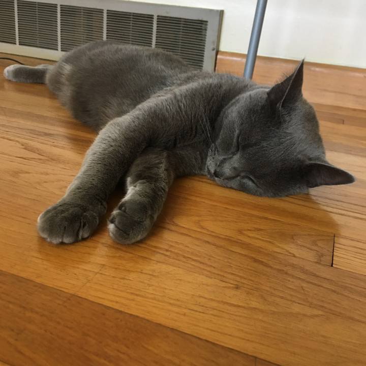 83dc163e 5428 4d40 94ee 62555835539c 1624888991822