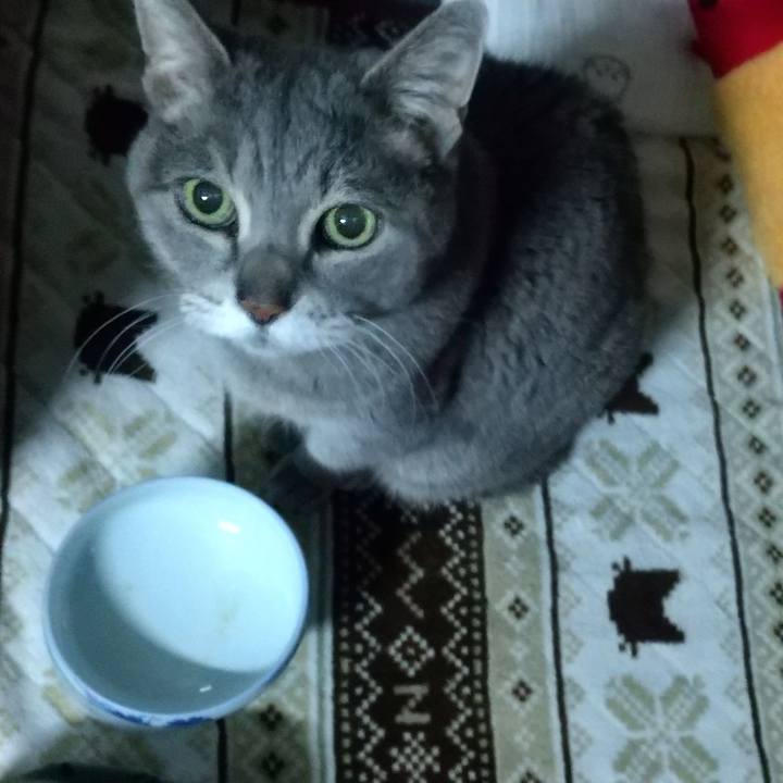 83dc2eaa 4db4 47e1 a34e 6d501542c57c 1773954395979