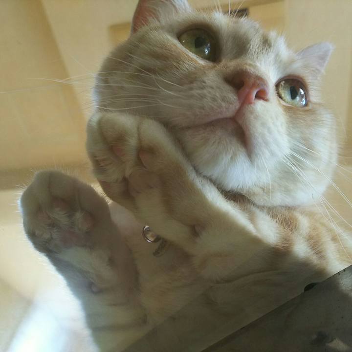 83dc89d3 41d2 48bb 967e c9092dc06499 1531523214656