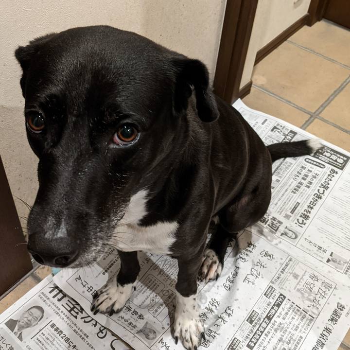 83dcd2bd 0dd8 4fb4 bd0d 325e74c59271 1664967212093