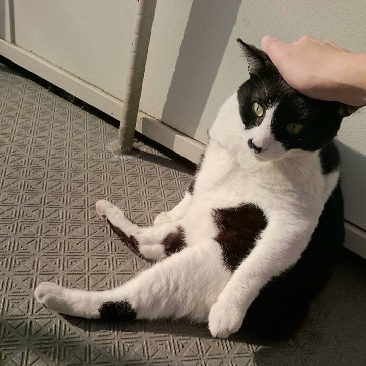 83dcdde1 cd19 46ed 8024 71790cc6c7ba 1508909870273