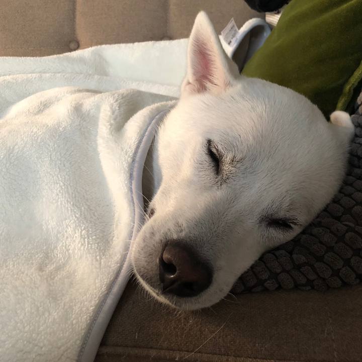 83dcef43 3f6a 4822 8814 61a1e785fd55 1552105289158