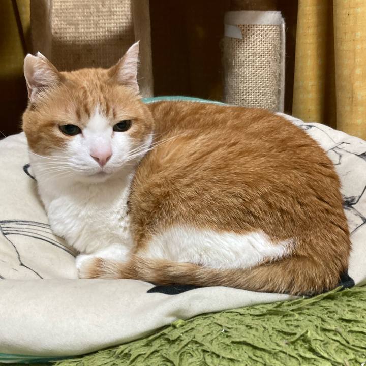 83dd13e5 e540 4ee6 aaf8 63e3e8c7adf5 1775480541070