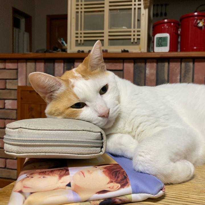 83dd4d76 4f35 4b8f 96c1 6f46d41e9d25 1565013286703