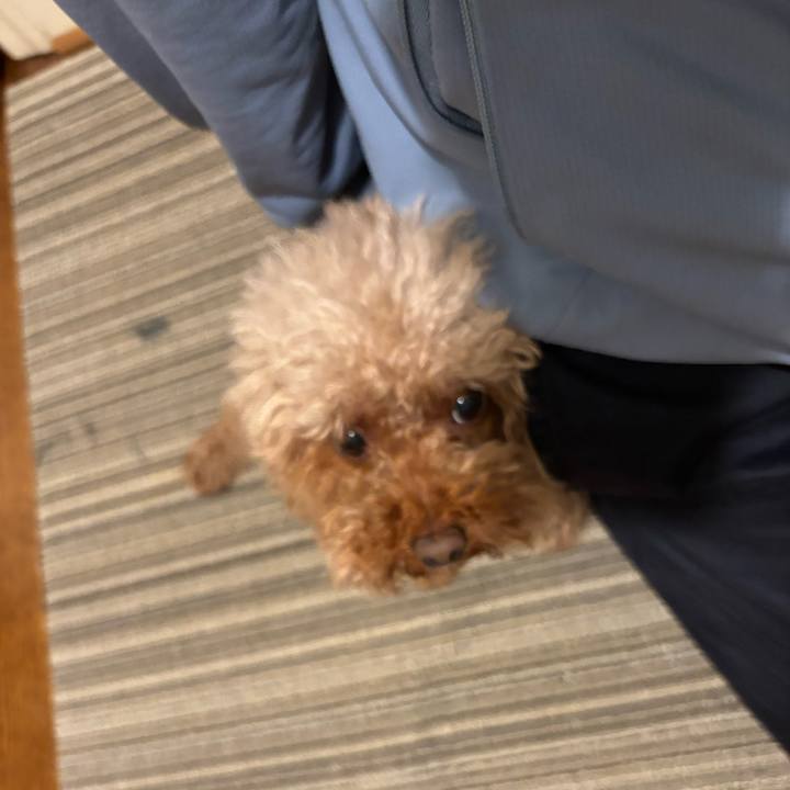 83dd55c2 1579 4431 8815 b2acb6e705b2 1751078093847