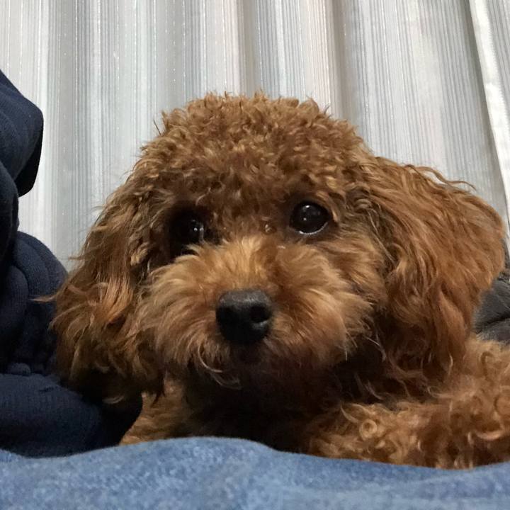 83dd6455 84e8 45c7 ab6f 3b0e40e610e7 1508049020813