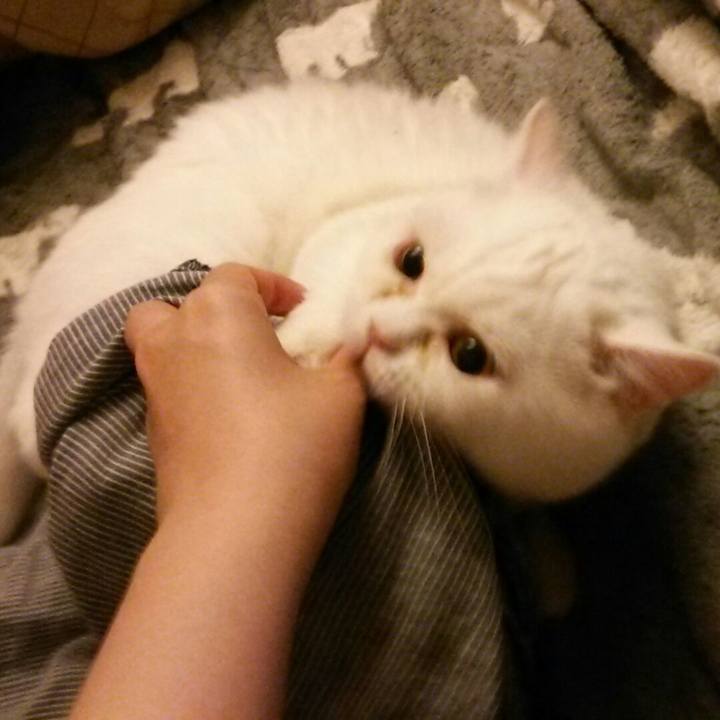 83dd6680 11ed 40a1 9fb5 56241531fd37 1527859806278