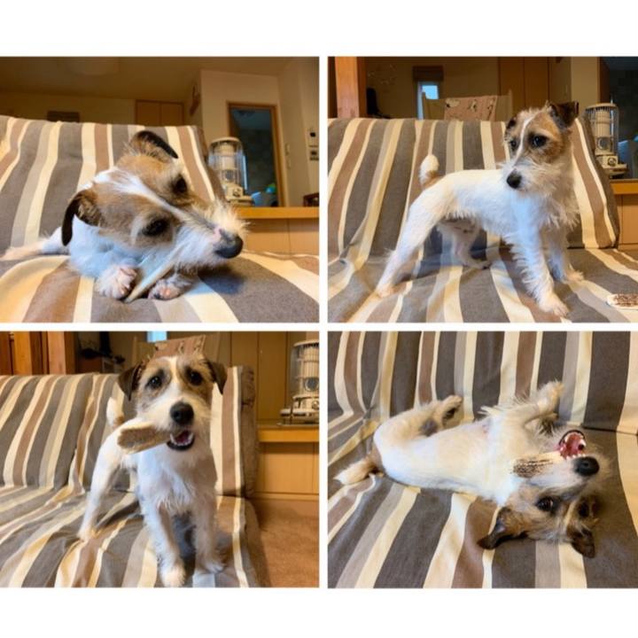 83dd676e ada3 47d2 82c7 5611bb53c640 1585471021975