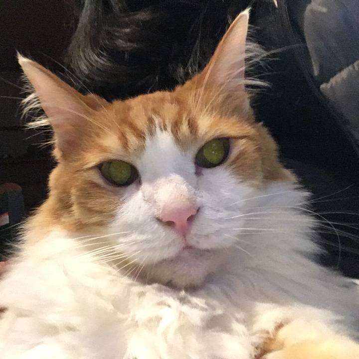 83ddaac9 ecf5 421e 937b 1dd4259c157f 1575203155507