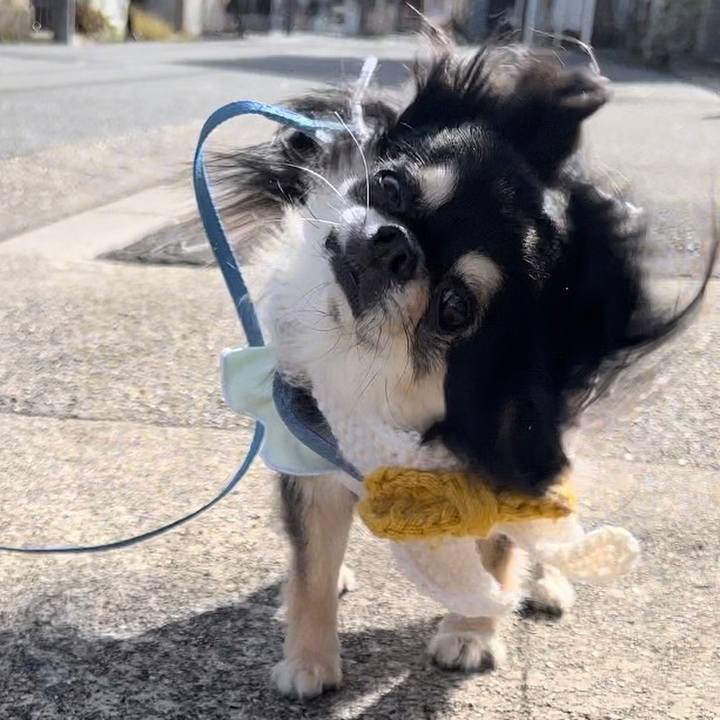 83ddbc5c 4f9a 4704 b853 d66949645367 1665190769759