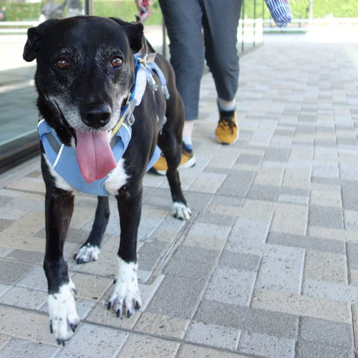 83dde26f 6418 408a 894d 34f1e923b5f8 1753142558350