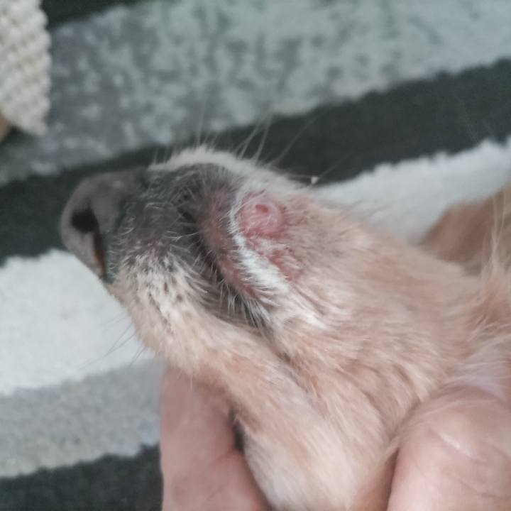 83ddf5e7 158d 4cc3 b34c b5006a187934 1756128705718