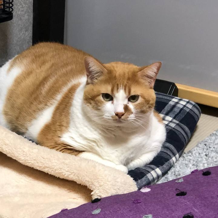 83de33ae 9c37 4460 9733 ab89a6cdd525 1515499600017