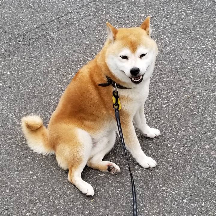 83de54b9 3cfe 4e05 8cdd 91887c515b1e 1592465028110