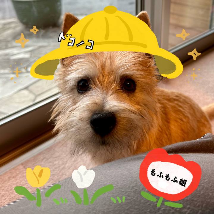 83de7179 8102 4953 bf77 65ecdb603853 1712241154458