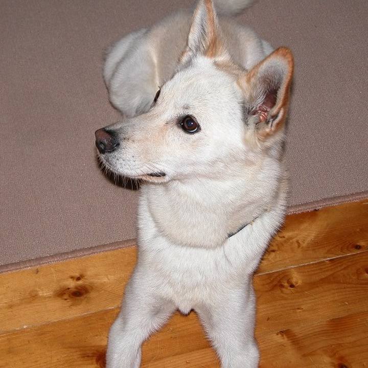 83de9693 182c 419d b9ed 543809d0d750 1508156706261