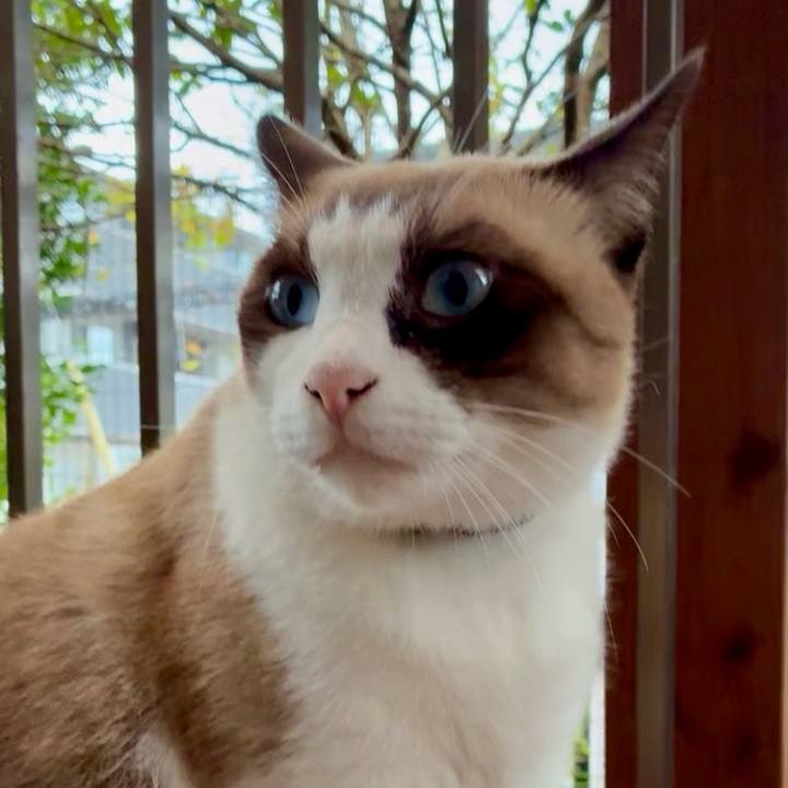 83de9ae3 cd34 46e5 bd49 3046d20e2b08 1762685471789