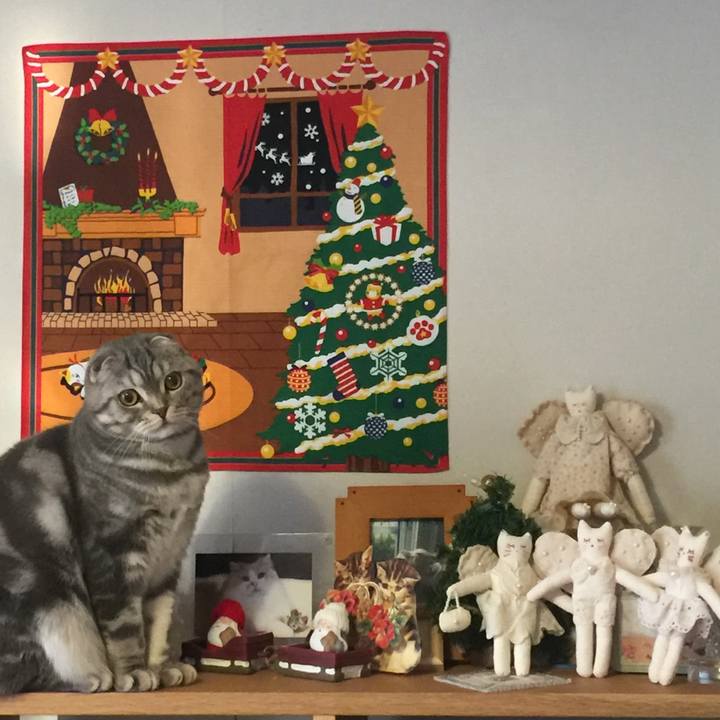 83de9ae8 66a4 4eb8 b3be 8f2dd59f41cf 1608784502357