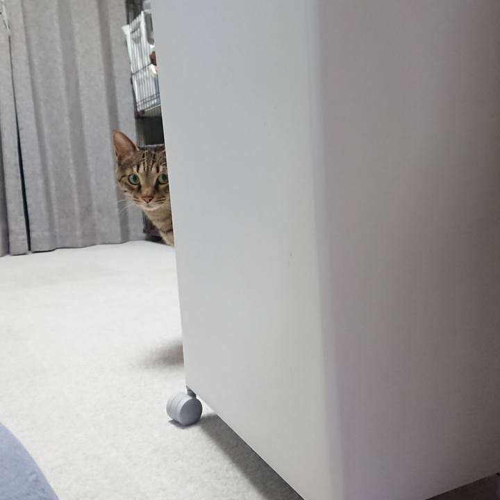 83deb6d1 8682 46d6 85ec c164101cf0e1 1560468885325