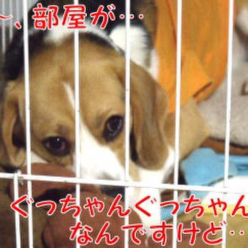 83ded1ba 22fc 4e3f b32c 202756a93ca7 1714867213005