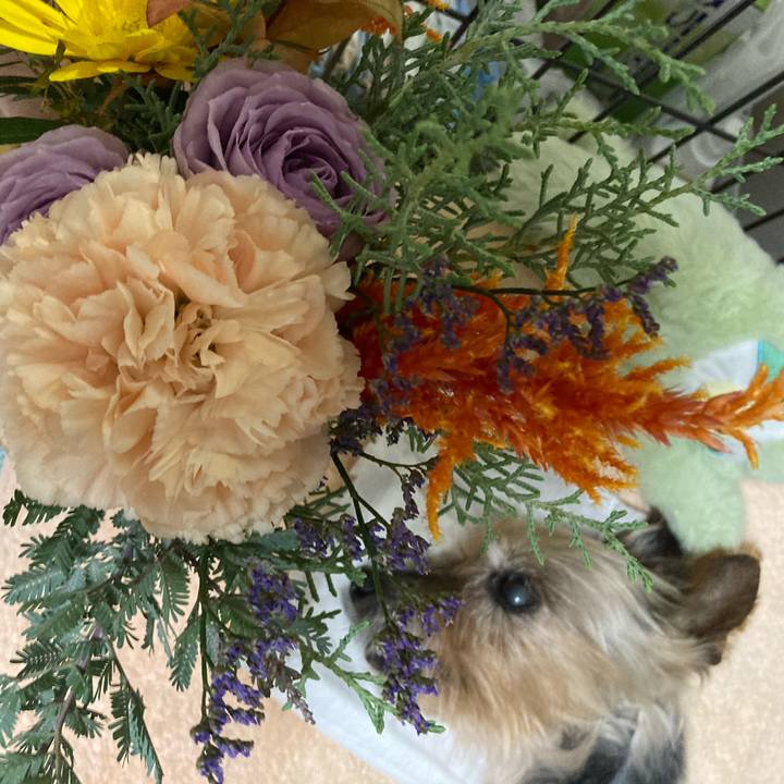 83ded9d1 458a 423e 9411 f439a82311de 1699765538603