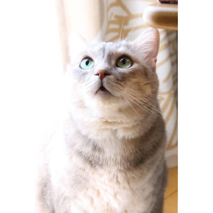 83dee3d1 7981 4d7b 832c ff4039c91d9b 1691299416584