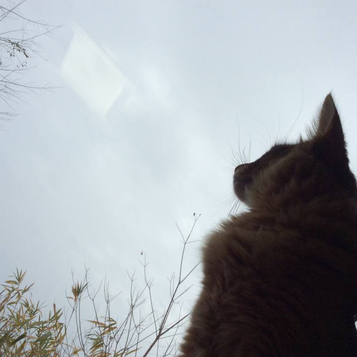 83df18a2 345c 4b09 aaa7 a8dd0d9dd9ce 1578355637119