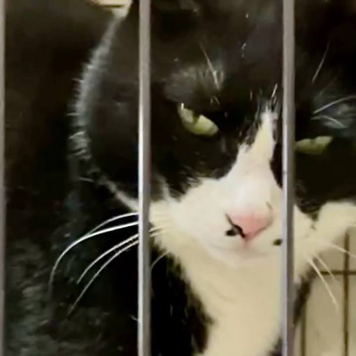 83e05907 9ec5 4535 8dc2 34b911e55b80 1742895134808