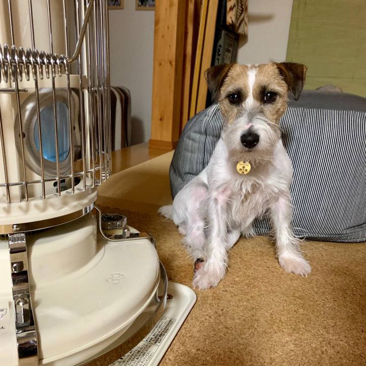 83e05f07 18d2 4efc acbd d6b83e0fc3d1 1608645820057