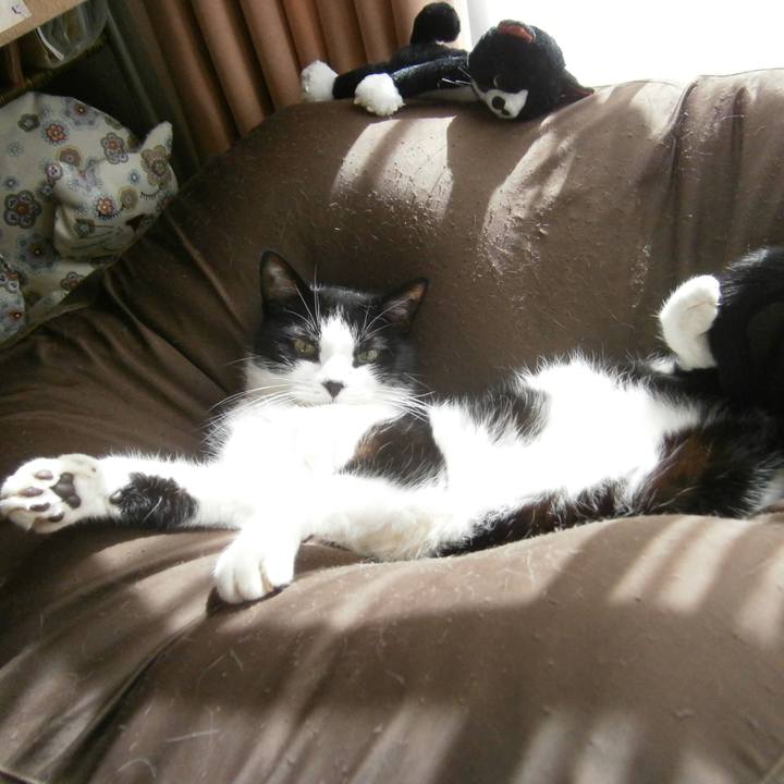 83e066a6 b012 4260 8766 4598d8f5caad 1668756875558