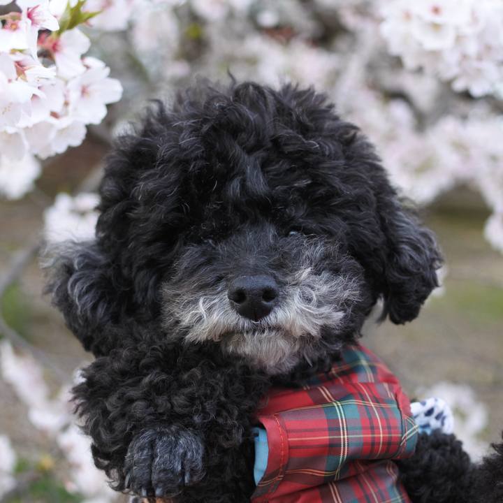 83e069d6 d62e 467b 98cb f4ae0ddf6920 1759241641581