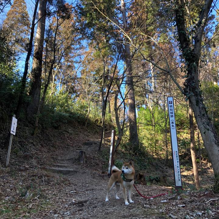 83e06fdc f548 404c b537 1532aa66d6ef 1550475707670