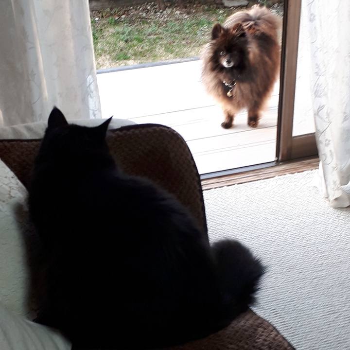 83e07785 6b4e 4181 a6db 377bfc6fdf4c 1518735237188